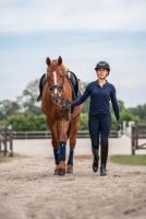 Die Bundesvereinigung der Berufsreiter lädt zu einer Informationsveranstaltung zum Beruf des Pferdewirtes am Samstag, 04. Oktober 2025 ein. Foto: Cora Jennissen