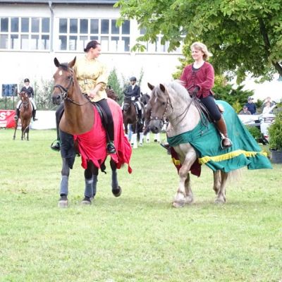 Showprogramm Mittweida 2017